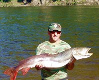 Таймень 20кг